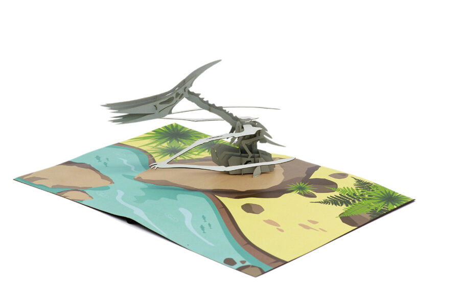 Pteranodon - Pop up 3D P58