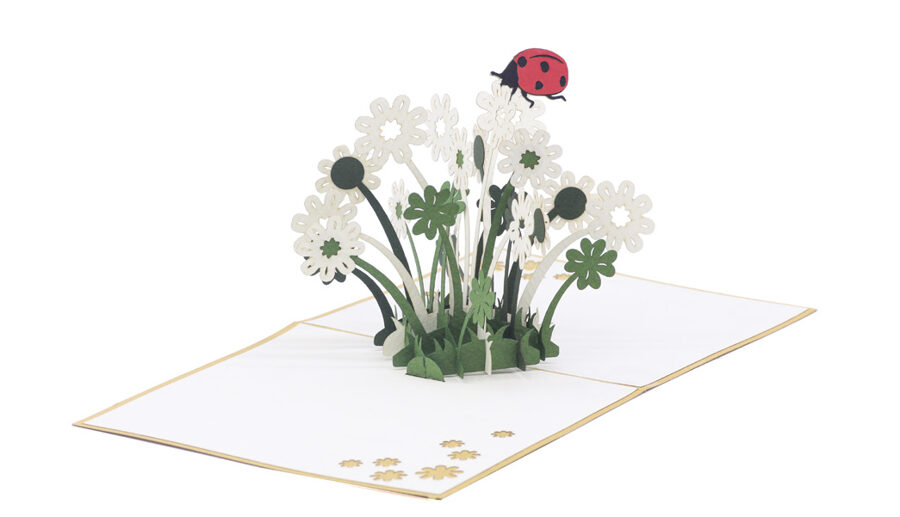 Ladybug and Clovers - Pop up 3D, P25