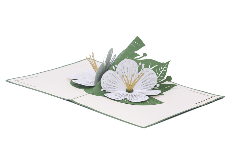 White Flowers - Pop up 3D, P35