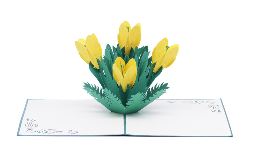 Yellow Tulips - Pop up 3D, P23