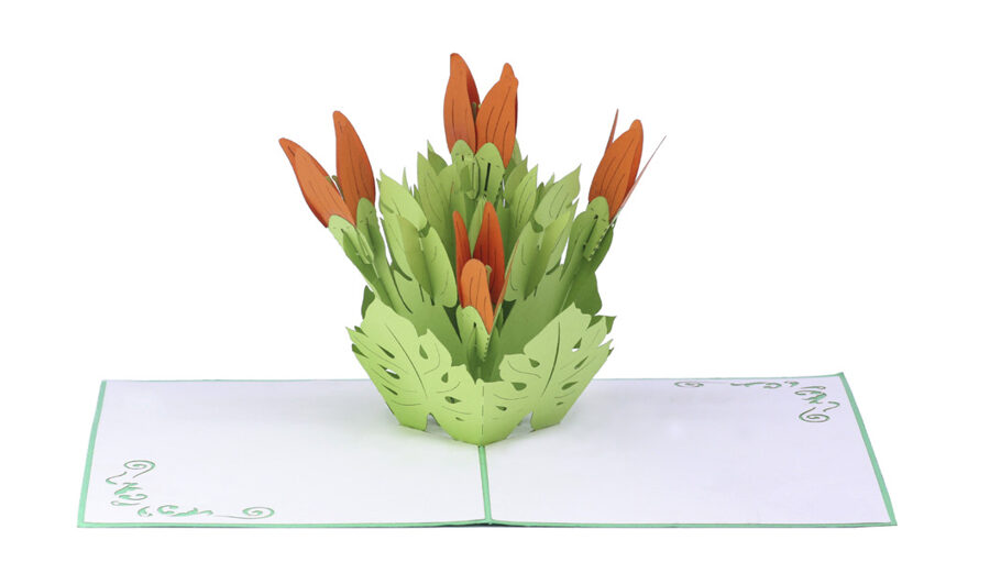 Orange Flowers - Pop up 3D, P51