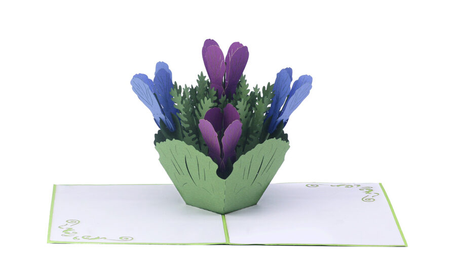 Tulip Duo - Pop up 3D, P42